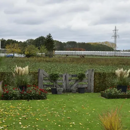 De Rozenhorst Nocleg ze śniadaniem 3*