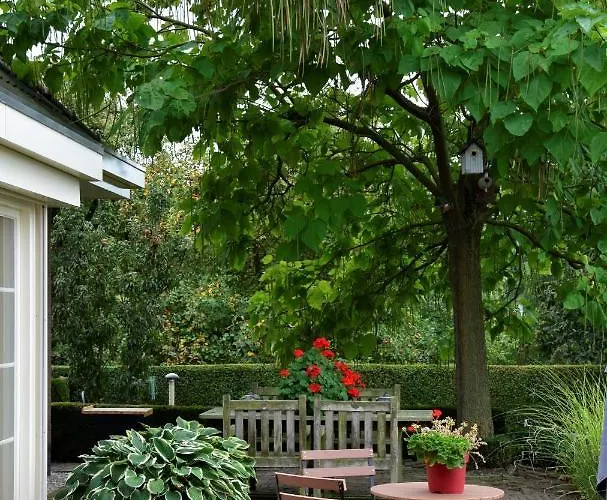 De Rozenhorst Bed & Breakfast